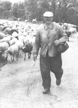 Berger cap-corsin (1960)