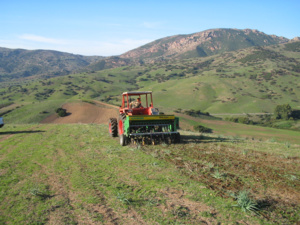 Utilisation du semoir direct Utilisation du semoir direct