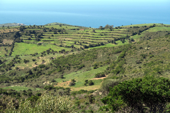 Paysage agro-pastoral en terrasses bien entretenu