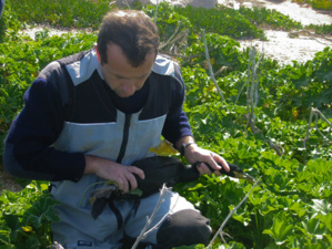 Photos : Parc marin international Photos : Parc marin international