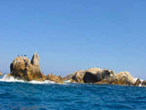 Photos : Parc marin international Photos : Parc marin international