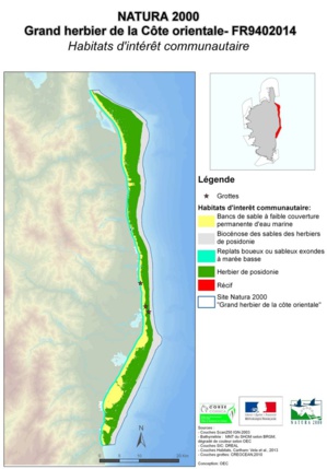 Erbaghju maiò di tassona di a Costa urientale Erbaghju maiò di tassona di a Costa urientale