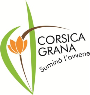  Corsica grana : messa in ballu