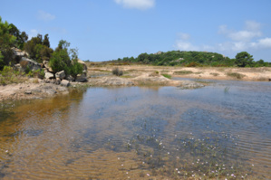 Festa di i pozzi  2016 Festa di i pozzi  2016