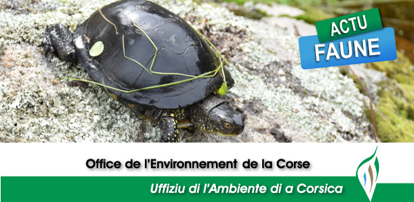 Attenti, ùn staranu tantu à affaccassi e zinzale …appruntate ghjà a check-list !  Attenti, ùn staranu tantu à affaccassi e zinzale …appruntate ghjà a check-list !