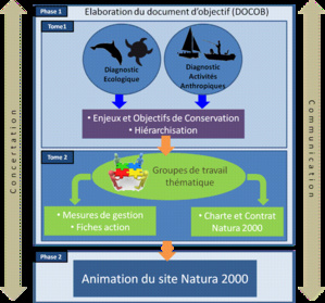 "Erbaghju maiò di tassona di a Costa urientale" "Erbaghju maiò di tassona di a Costa urientale"