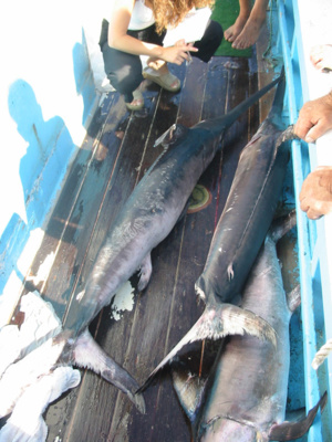 U tonu rossu U tonu rossu