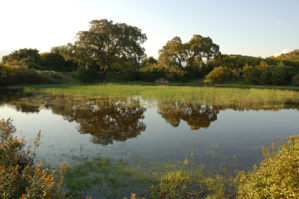 Festa di i pozzi 2017 Festa di i pozzi 2017