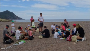 Fête de la nature 2017 : les insectes à l’honneur ! Fête de la nature 2017 : les insectes à l’honneur !