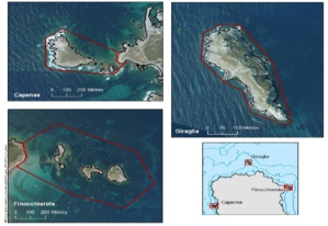 Création de la réserve naturelle des îles du Cap Corse Création de la réserve naturelle des îles du Cap Corse