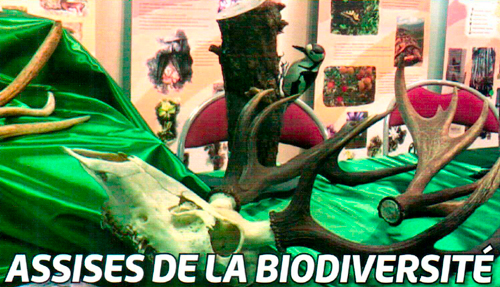 Assises de la Biodiversité