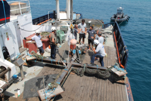 Mise en place de récifs artificiels sur Aiacciu au Ricantu Mise en place de récifs artificiels sur Aiacciu au Ricantu