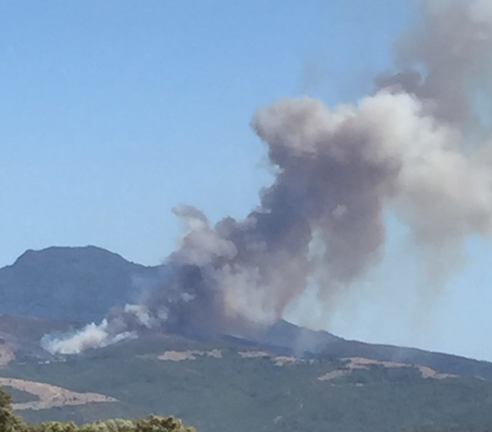 Pour une stratégie coordonnée de réhabilitation des zones incendiées