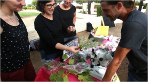 Des solutions écologiques pour en finir avec les pesticides Des solutions écologiques pour en finir avec les pesticides