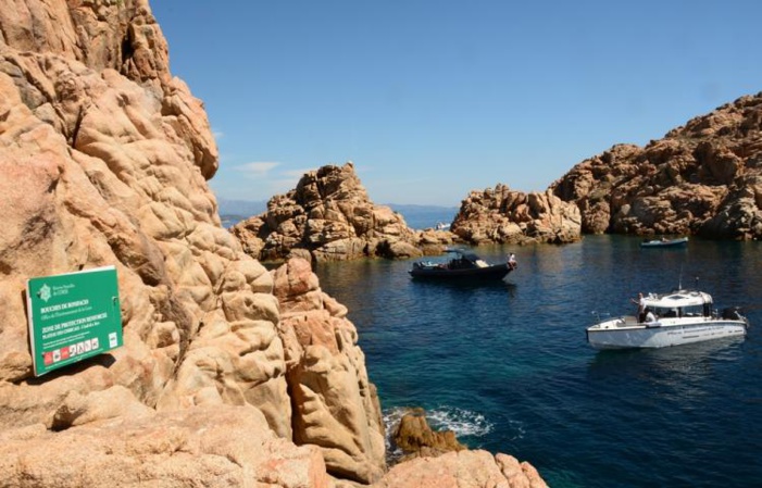 Reportage : la réserve de Bonifacio sous l’œil des gardes Reportage : la réserve de Bonifacio sous l’œil des gardes