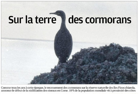 Sur la terre des cormorans