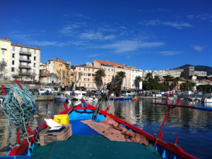 Le projet DACOR (Données hAlieutiques CORses) Le projet DACOR (Données hAlieutiques CORses)