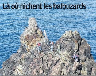 Là où nichent les balbuzards