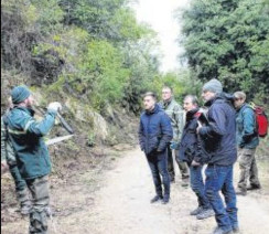 La commune gère son patrimoine forestier