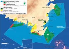 Déclarations de pêche 2018 dans la Réserve Naturelle des Bouches de Bonifacio