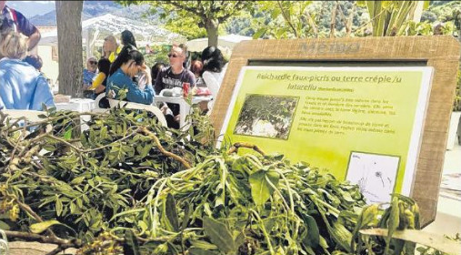 Les bonnes feuilles de la Bourse aux plantes Les bonnes feuilles de la Bourse aux plantes
