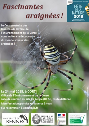 Conférence du 24 mai sur les araignées de Corse Conférence du 24 mai sur les araignées de Corse