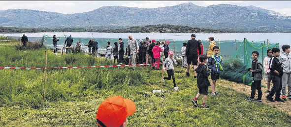 Une fête pour préserver le milieu aquatique insulaire