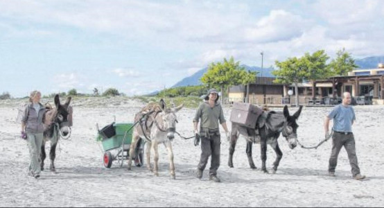 L'entretien durable des plages en mode "sumerinu"