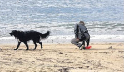 Pavillon bleu et crottes de chien font bon ménage au trottel