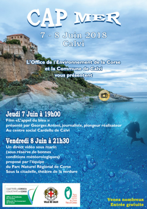 Manifestation CAP MER à CALVI