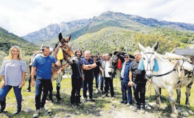 Le sentier du Tavignanu restauré au rythme des mules