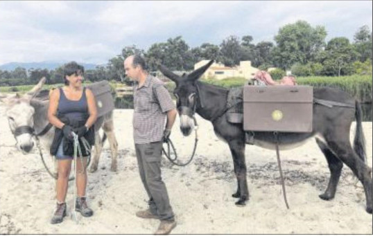 Des attelages d'ânes pour nettoyer les plages