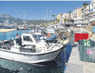 Les particuliers en mal de poissons locaux