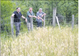 A Buzinca : société de chasse active