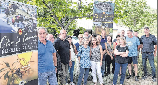 Les oléiculteurs de Corse entre production et protection