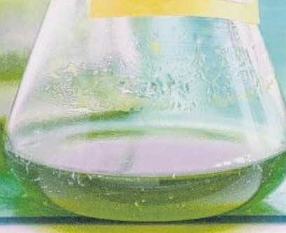 Pesticides naturels : des scientifiques étudient des micro-algues