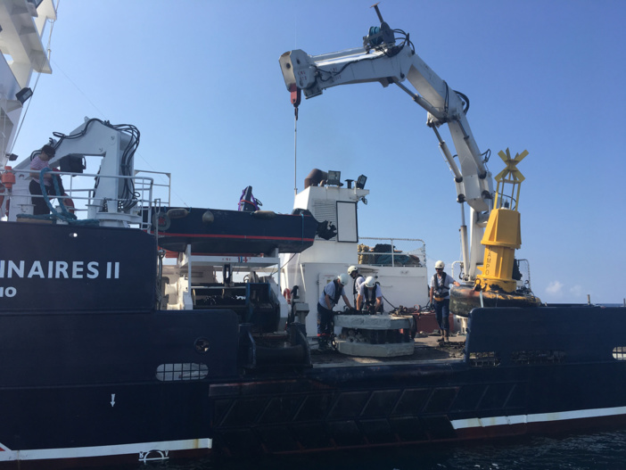 Récifs articiels...Quand le béton a du bon Récifs articiels...Quand le béton a du bon