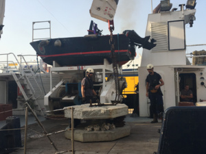 Récifs articiels...Quand le béton a du bon Récifs articiels...Quand le béton a du bon