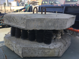 Récifs articiels...Quand le béton a du bon Récifs articiels...Quand le béton a du bon