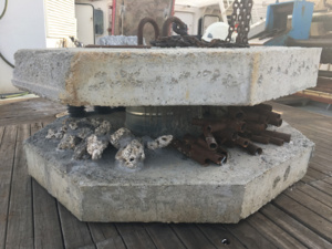 Récifs articiels...Quand le béton a du bon Récifs articiels...Quand le béton a du bon