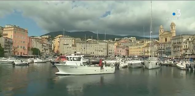A la pêche au thon rouge au large de Bastia 