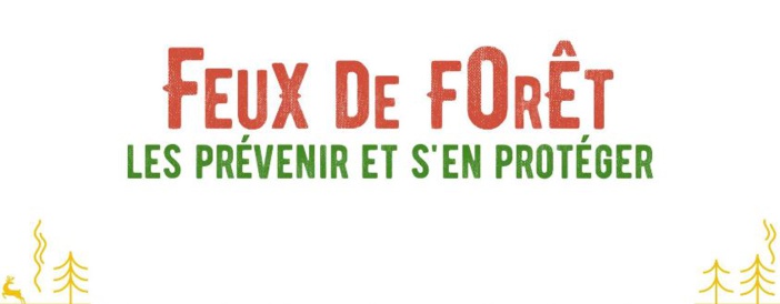 Feux de Forêt : les prévenir et s'en protéger
