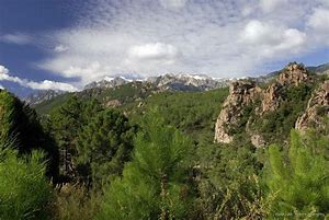 Valorisation et gestion des forêts privées
