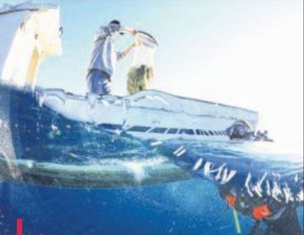 Pêche dans les calanques : " l'open bar, c'est fini "
