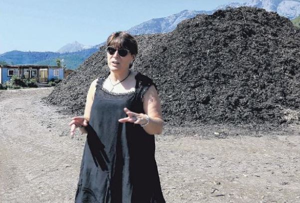 Déchets organiques de "boues" en bout 