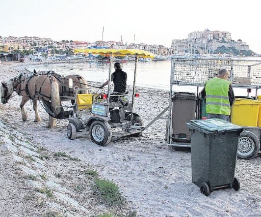 Des animaux au service de l'environnement