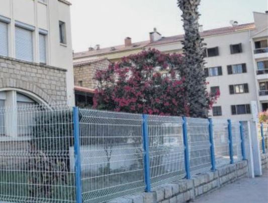 Propriano : premier cas de xylella fastidiosa détecté sur un laurier rose