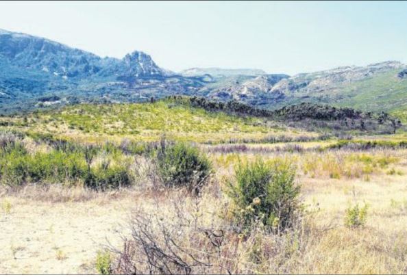 Un an après le feu du Cap Corse rien n'a changé ou presque ...