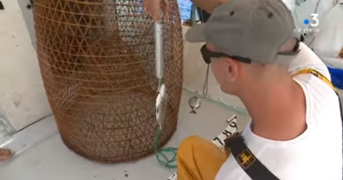 Tema pêche : dans la réserve naturelle des bouches de Bonifacio, concilier pêche et biodiversité