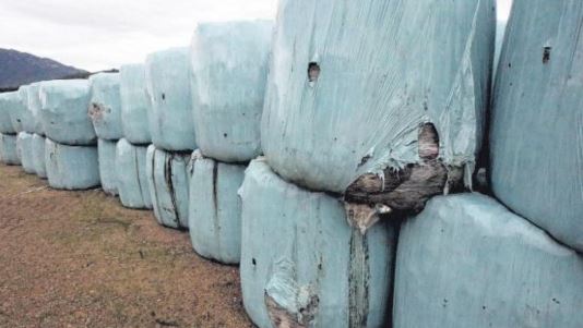 1 200 Tonnes stockées dans un champ à Cauro : Système "D" comme déchets 